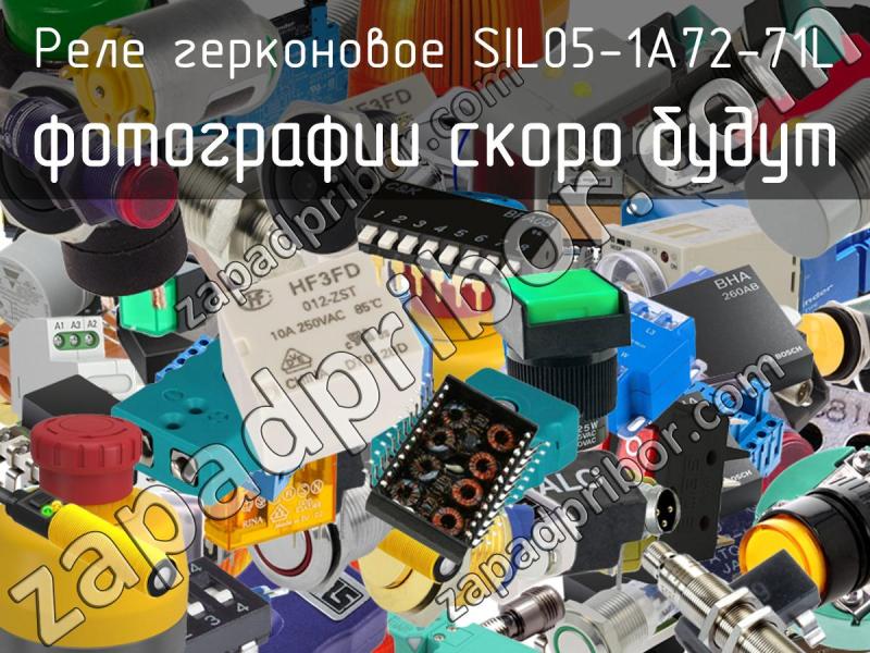 Реле герконовое SIL05-1A72-71L фотография.