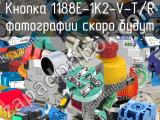 Кнопка 1188E-1K2-V-T/R