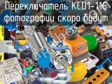 Переключатель KCD1-116 