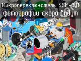 Микропереключатель SSM-001 