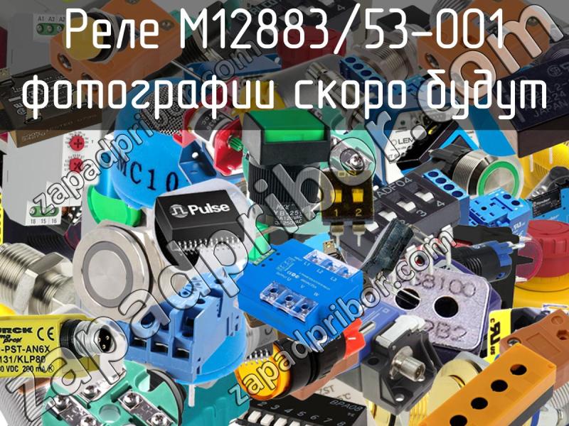 Реле M12883/53-001 фотография.