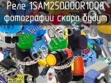 Реле 1SAM250000R1008