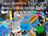 Переключатель EVQPLHA15