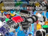 Микропереключатель D2HWBL203MR