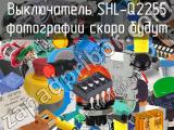 Выключатель SHL-Q2255