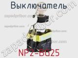 Выключатель NP2-BG25 фотография 2.
