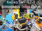 Кнопка SWT-42-8