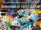 Микропереключатель V71V29E9