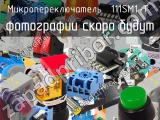 Микропереключатель 111SM1-T