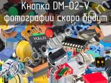 Кнопка DM-02-V