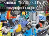 Кнопка MB2085SD3W01 