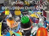 Тумблер STM-123 