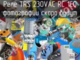 Реле TRS 230VAC RC 1CO 