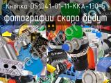 Кнопка DS1041-01-11-KKA-130-5 