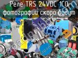 Реле TRS 24VDC 1CO 