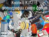 Кнопка KJ12-3 