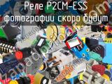 P2CM-ESS