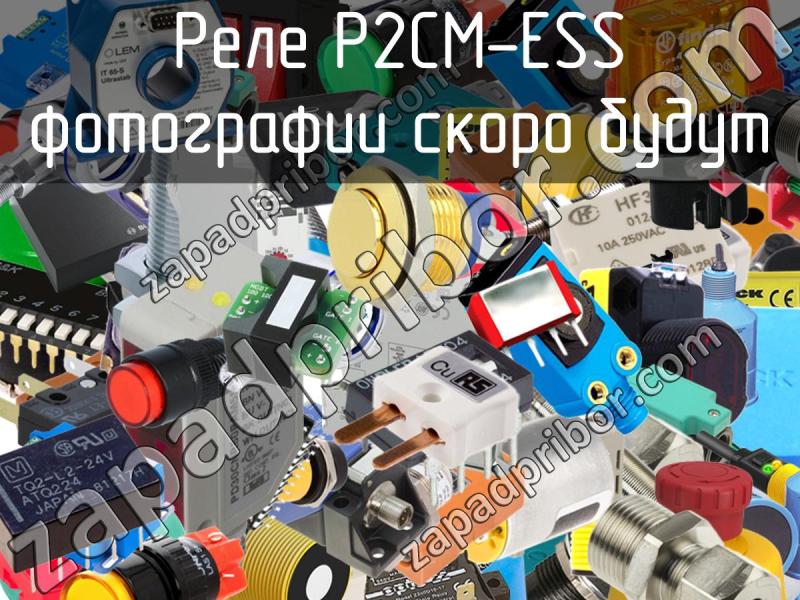 Реле P2CM-ESS фотография.