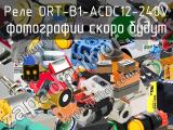 Реле ORT-B1-ACDC12-240V