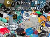 Кнопка B3FS-1000P 