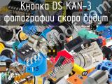Кнопка DS KAN-3 