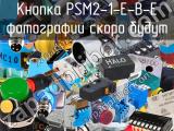 Кнопка PSM2-1-E-B-E 