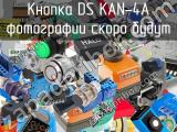Кнопка DS KAN-4A 