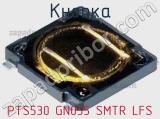 Кнопка PTS530 GN055 SMTR LFS