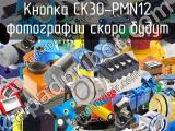 Кнопка CK30-PMN12