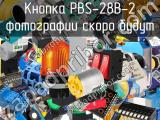 Кнопка PBS-28B-2 