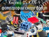 Кнопка DS KAN-9 