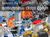 Кнопка KLS7-TS3601-5.0-200 