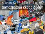 Кнопка KLS7-TS3601-5.0-200