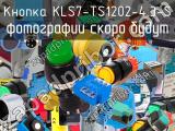 Кнопка KLS7-TS1202-4.3-S 
