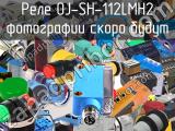 Реле OJ-SH-112LMH2 