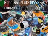 Реле R40N3021855220