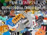 Реле CB1AHP24J