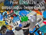 Реле G2R1AC24