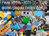 Реле RM96-3011-35-1024 