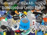 Кнопка IT-1102WA8-160G-G 