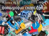 Кнопка KLS7-TS4502-3.8-180-T 