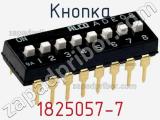 Кнопка 1825057-7 фотография 3.