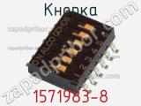 Кнопка 1571983-8 фотография 2.