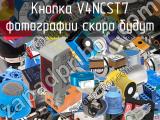Кнопка V4NCST7 