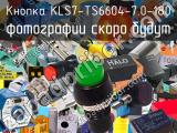 Кнопка KLS7-TS6604-7.0-180 