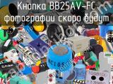 Кнопка BB25AV-FC