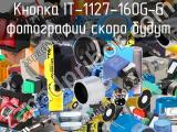 Кнопка IT-1127-160G-G 