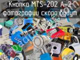 Кнопка MTS-202 A-2