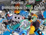 Кнопка 3FTH9