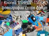 Кнопка DSHP02-TSGER 